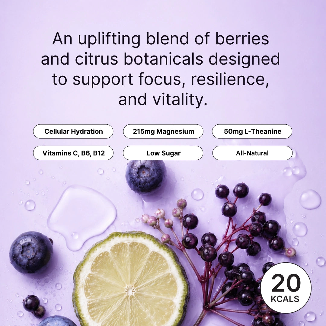 Chaser Water Elderberry + Bergamot