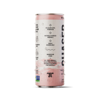 Chaser Water Watermelon + Mint