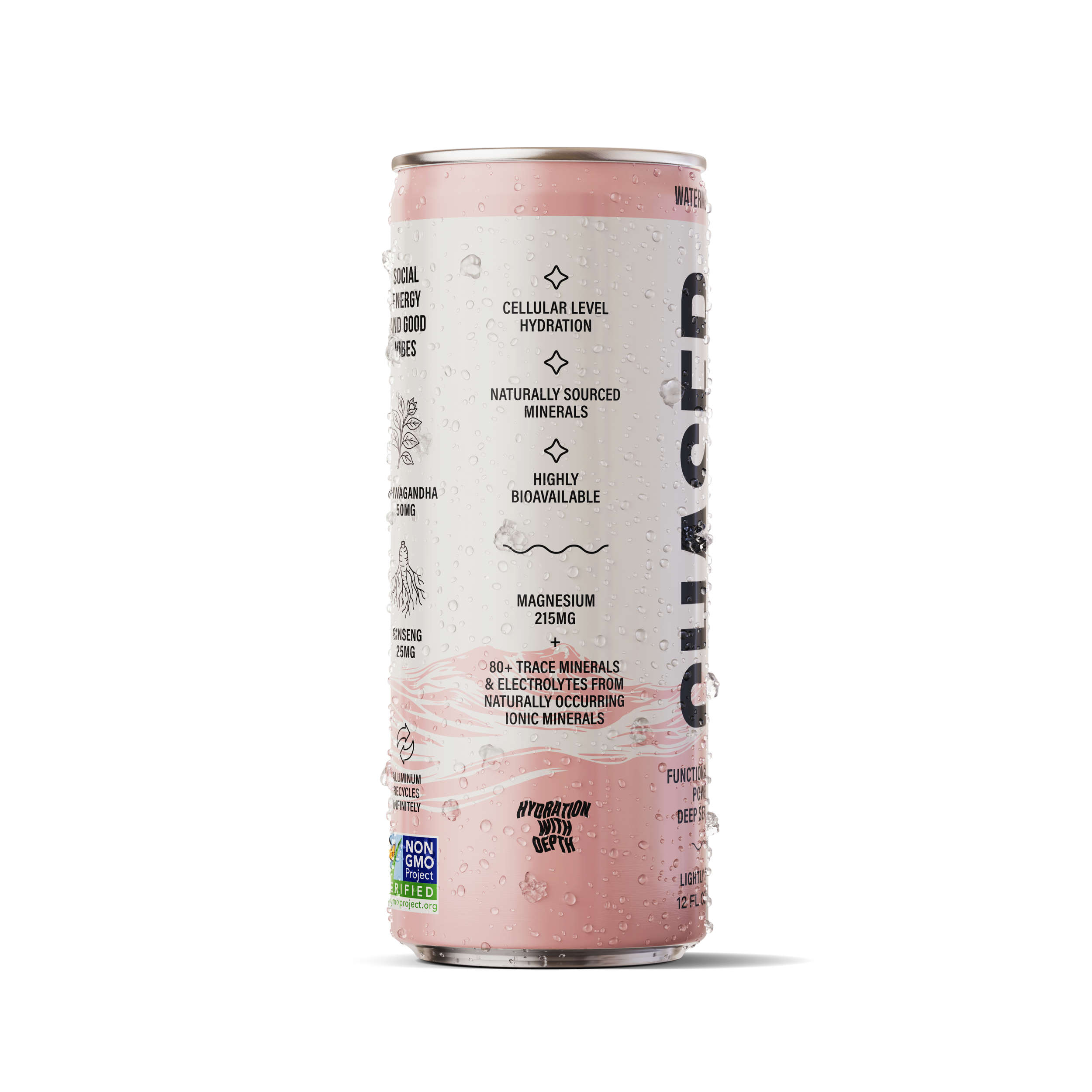 Chaser Water Watermelon + Mint