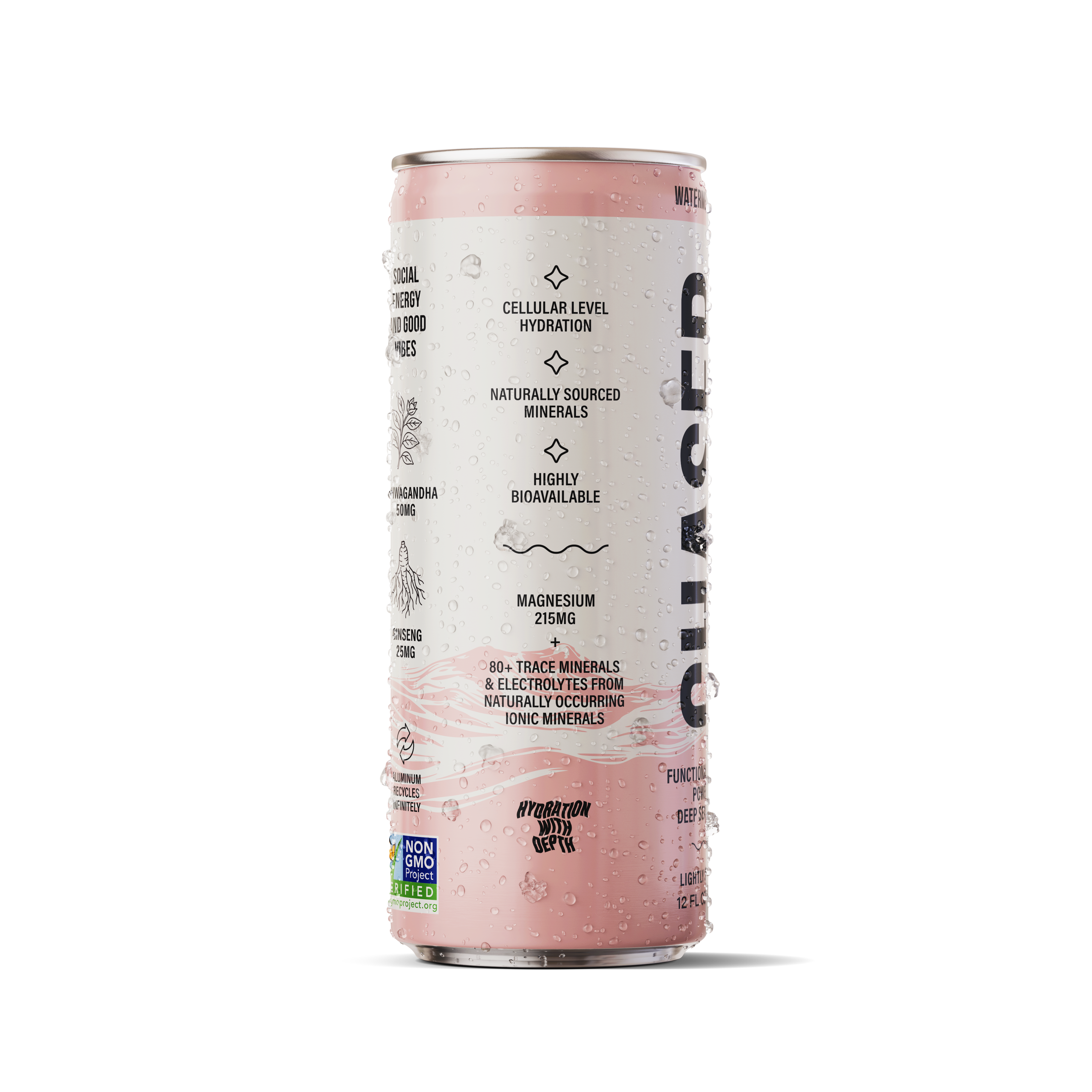 Chaser Water Watermelon + Mint