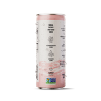Chaser Water Watermelon + Mint