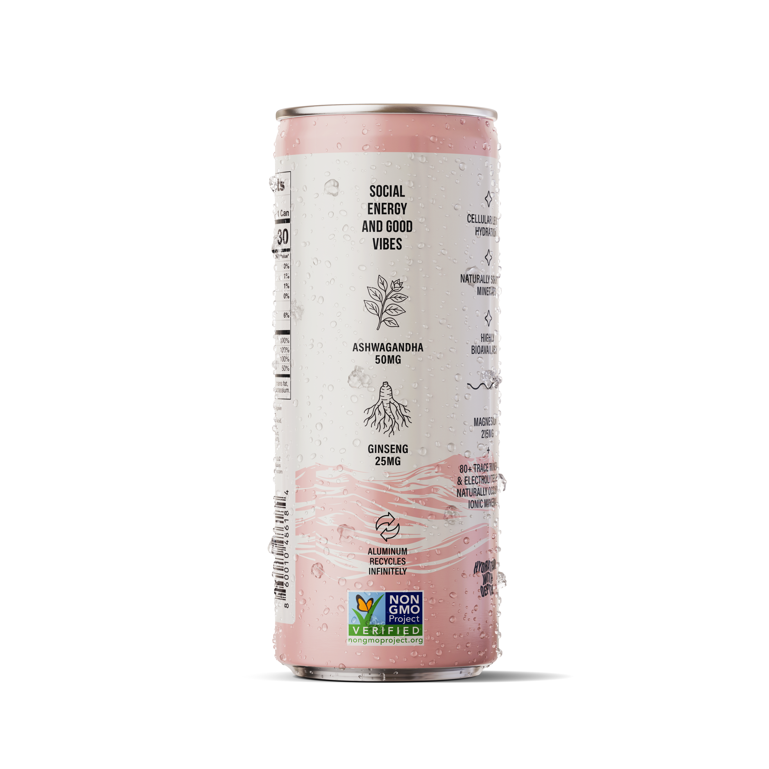Chaser Water Watermelon + Mint