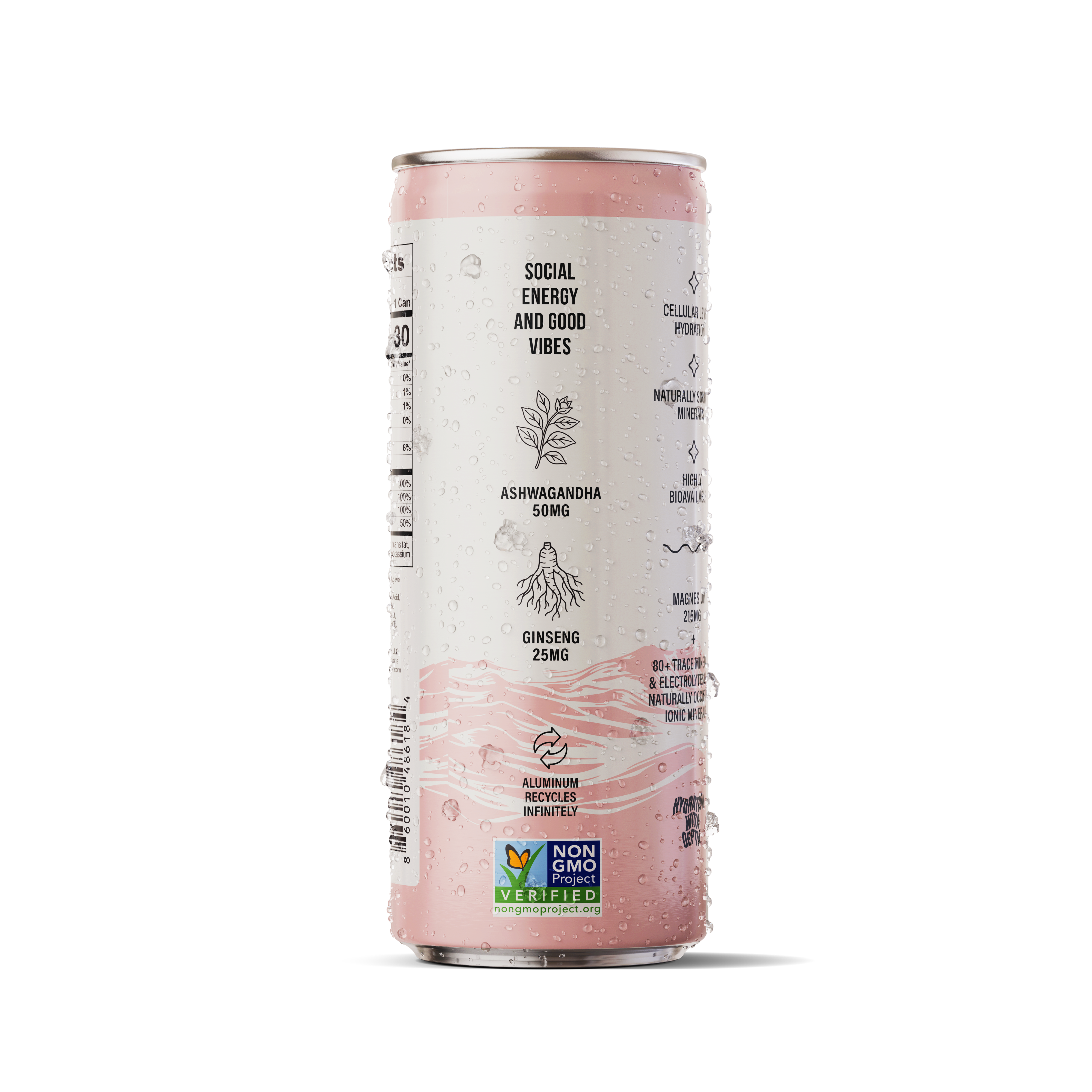 Chaser Water Watermelon + Mint