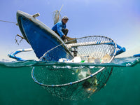 4ocean Supporter - 1,000 lbs pulled monthly